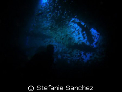 Exit of Fish-Rock Cave. Diver silouette with sharks in ba... by Stefanie Sanchez 